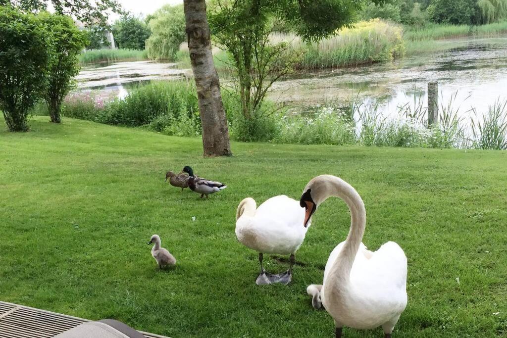 Cotswolds Lake Side Home With Luxury Spa Swallows Nest,Lower Mill Estate, Lakeside Home And Spa With A Harry Potter Cupboard Under The Stairs Somerford Keynes 외부 사진